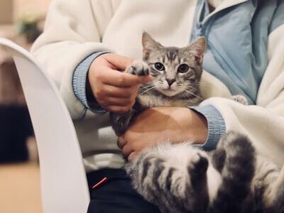 Veterinarian